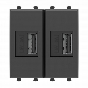 USB зарядное устройство модульное, "Avanti", "Черный матовый", 2 модуля